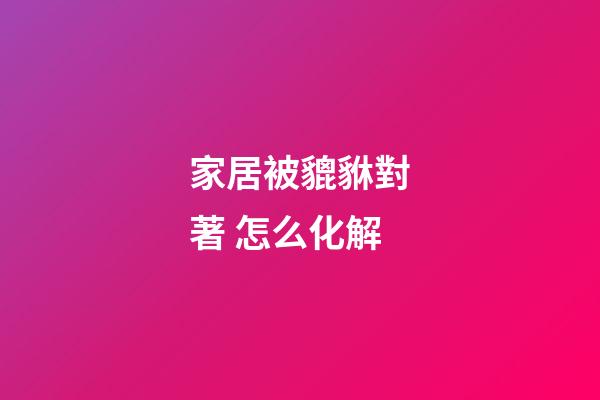 家居被貔貅對著 怎么化解
